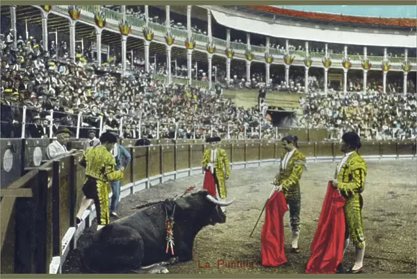 Spanish Bullfighting Series (10  /  12)