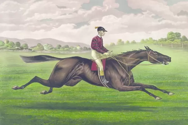 Parole: brown gelding, by Imp. Leamington, dam Maiden by Lex