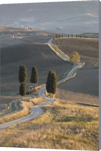 Gladiator road near Pienza, Val d Orcia, Tuscany, Italy
