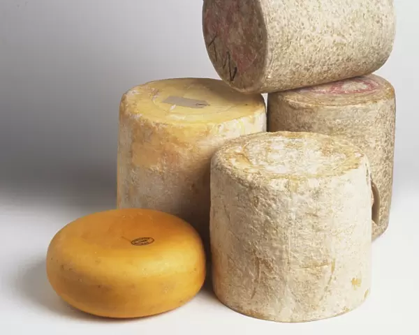 Assorted cylindrical rinds of cheese, front view
