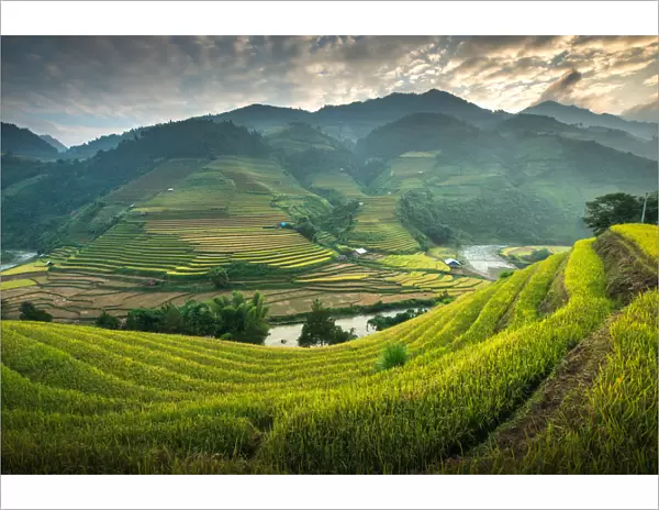 Rice terraces at Mu Cang Chai, Vietnam
