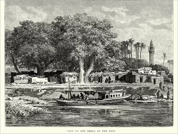 View on the Delta of River Nile 19th Century