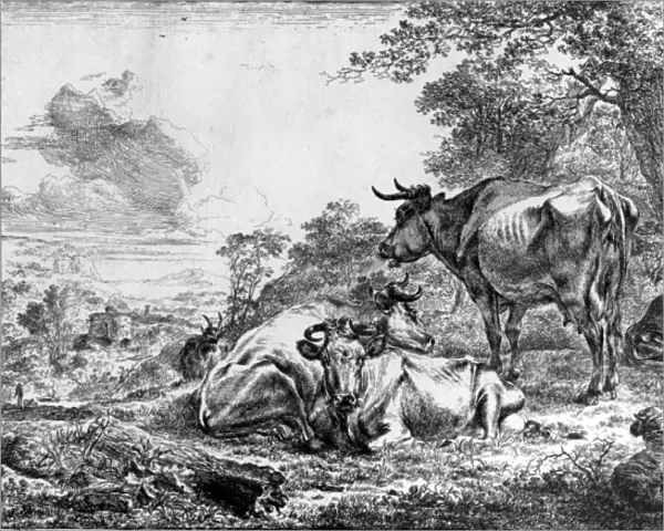 Three Cows (engraving)