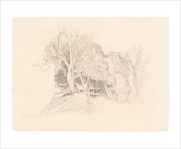 Landscape with Trees. Creator: Unknown