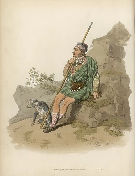 Pyne - Highland Shepherd