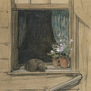 Cat on a windowsill by Muriel Dawson