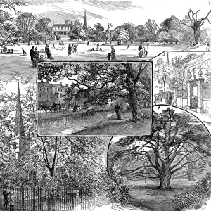 Sights Mouse Mat Collection: Clissold Park