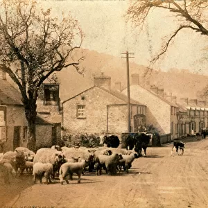 Powys Photo Mug Collection: Crickhowell