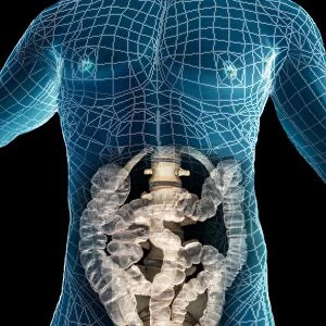 Healthy abdomen, 3D CT scan F006 / 9096