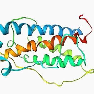 Human growth hormone molecule F006 / 9355
