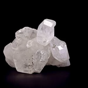 Phenakite crystals C013 / 6730