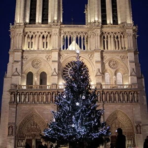 Christmas tree, Notre-Dame de Paris Cathedral, Paris, France, Europe