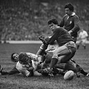 Wales Eddie Butler - 1980 Five Nations