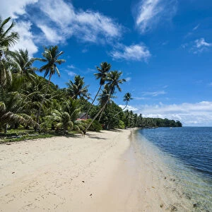 Beautiful white sand beach and palm trees on the island of Yap, Micronesia