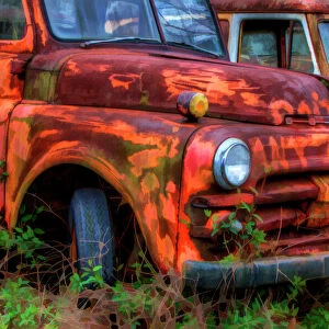 North America, USA, Georgia; Rusty trucks at Old Car City