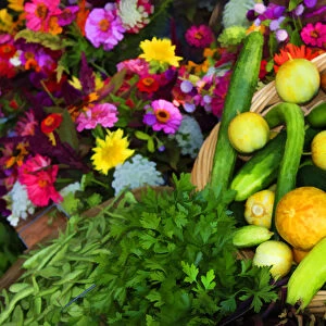 North America, USA, Georgia; Savannah; Flowers, herbs and vegtables at a farmer s
