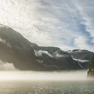 USA, Alaska, Tongass National Forest. Endicott Arm in fog