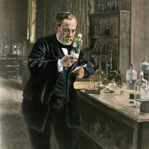 Scientists Fine Art Print Collection: Louis Pasteur