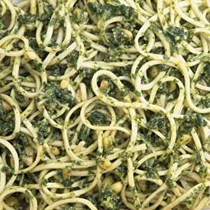 Trenette Al Pesto Alla Silvana, spaghetti with pesto sauce, close-up