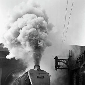 Transport Collection: Steam Trains