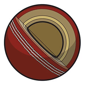 Cricket ball, cross-section