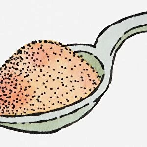 Illustration of heap of orchid seeds on spoon