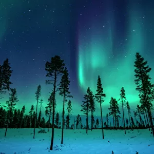 : Northern Lights: A Dance of Colours