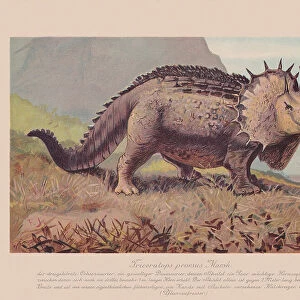 Triceratops prorsus, chromolithograph, published in 1900