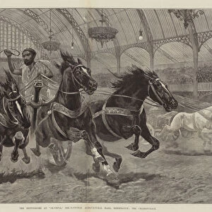 The Hippodrome at "Olympia, "the National Agricultural Hall, Kensington, the Chariot-Race (engraving)