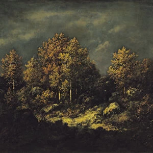 The Jean de Paris Heights in the Forest of Fontainebleau, 1867 (oil on canvas)