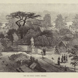 Sights Framed Print Collection: Chelsea Physic Garden