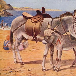 Seaside donkeys (colour litho)
