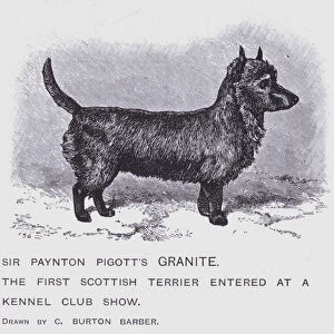 Sir Paynton Pigotts Granite (litho)