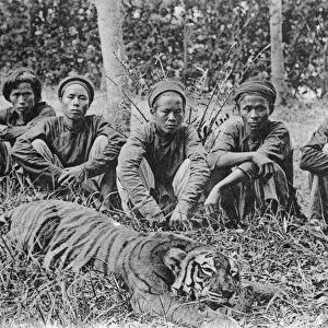 Tiger hunters, Tonkin, Vietnam, 20th century(?)