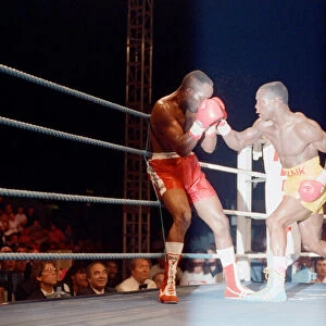 Sports Jigsaw Puzzle Collection: Boxing