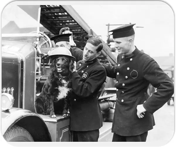 Firefighters with their dog mascot, WW2