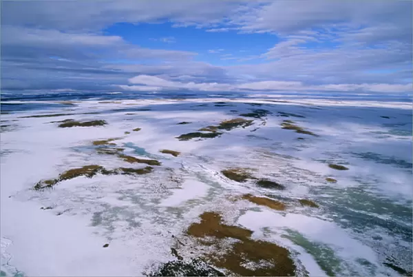 RUSSIA - Arctic tundra, melting snows, tundra of
