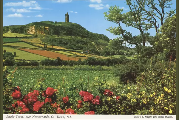 Scrabo Tower near Newtownards, Co. Down, N. I. by E. Nagele