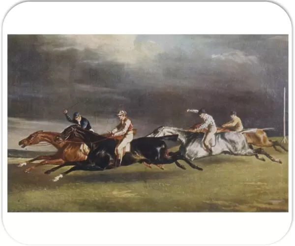 Horse Race  /  Postcard
