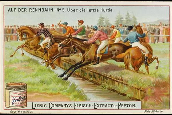 Liebig Horse Racing 5