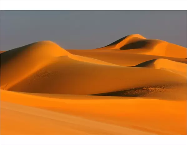 Great Sand Sea, Egyptian Sahara C014  /  1666