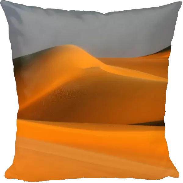 Great Sand Sea, Egyptian Sahara C014  /  1666