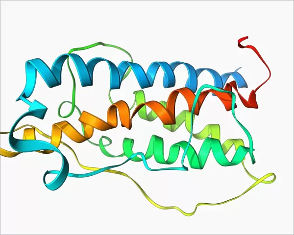 Human growth hormone molecule F006  /  9355