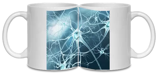 Nerve cell, artwork F007  /  7446