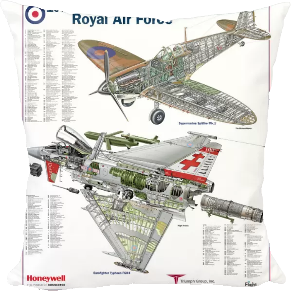 RAF 100th Anniversary