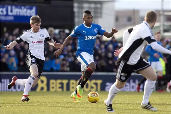 Rangers Alfredo Morelos Thrills in Scottish Cup Action at Ayr United's Somerset Park