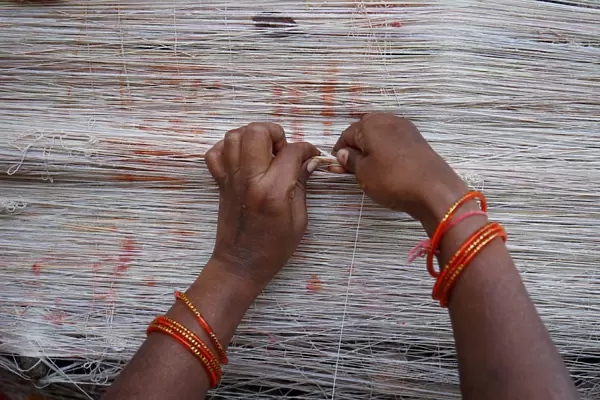 A married Hindu woman ties cotton thread around a Banyan tree in Ahmedabad