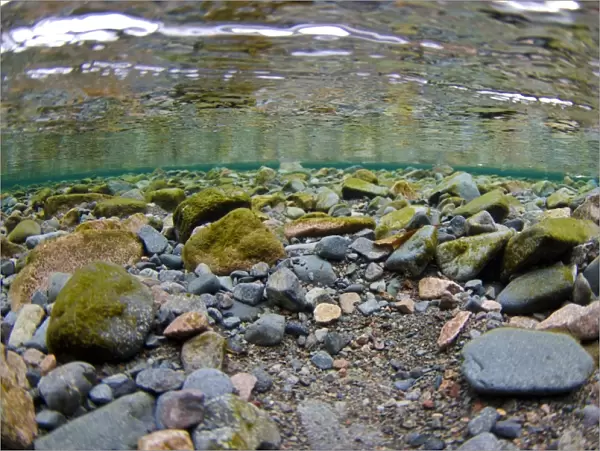 Underwater view of stony riverbed in river flowing into glacial lake, River Liza, Ennerdale Water, Lake District N. P