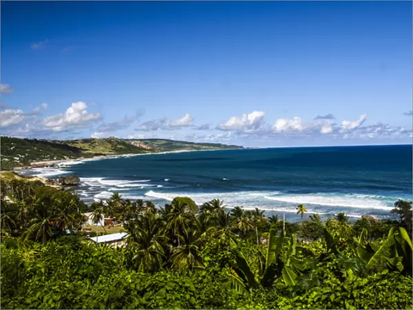 Bathsheba, Barbados. C-shaped, curved, ocean coast with surf, and palm trees
