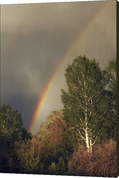 Rainbow over Gardiner, Montana, USA